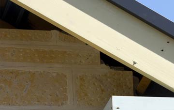 soffit repair Hunsonby